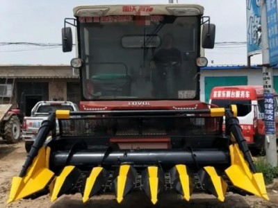 五丰 大型茎穗青贮机联合收割机 玉米秸秆割台 甘蔗收获机图5