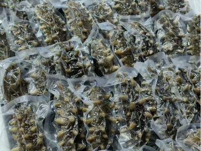 源头工厂直供即食海参深海辽刺参一件代发大连熟Q弹锁鲜大连海参图2