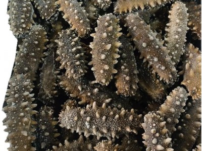 源头工厂直供即食海参深海辽刺参一件代发大连熟Q弹锁鲜大连海参图5