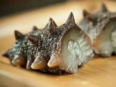 辽参厂家批发大连海参非干货劲道口感鲜蒸即食500g辽刺参速食图2