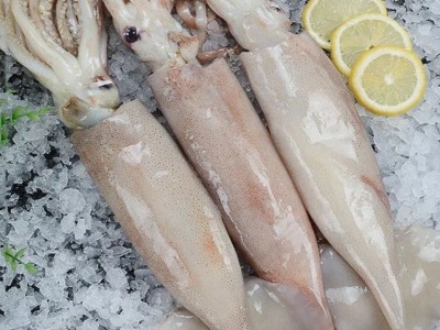 大鱿鱼鲜活冷冻超大鱿鱼整只去内脏新鲜冷冻烧烤铁板商用海鲜水产图2