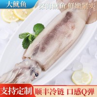 大鱿鱼鲜活冷冻超大鱿鱼整只去内脏新鲜冷冻烧烤铁板商用海鲜水产