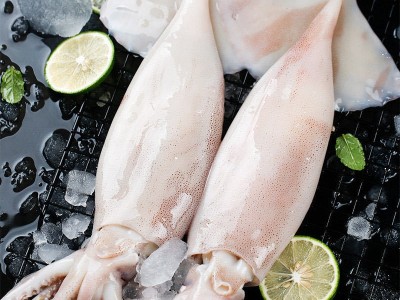 大鱿鱼鲜活冷冻超大鱿鱼整只去内脏新鲜冷冻烧烤铁板商用海鲜水产图3