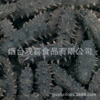 西海拉缸盐海参顶火 大火候盐渍海参腌渍海参批发 一手货源