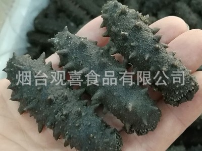 西海拉缸盐海参顶火 大火候盐渍海参腌渍海参批发 一手货源图2