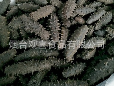 西海拉缸盐海参顶火 大火候盐渍海参腌渍海参批发 一手货源图5