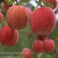 苹果有机肥