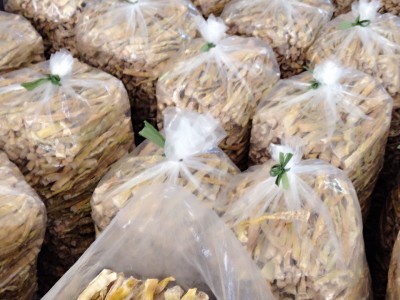 2025年天目乡味农产品临安天目山新鲜竹笋干干货天目笋干嫩笋尖图4