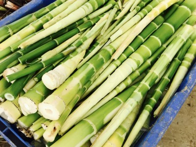 2025年天目乡味农产品临安天目山新鲜竹笋干干货天目笋干嫩笋尖图5