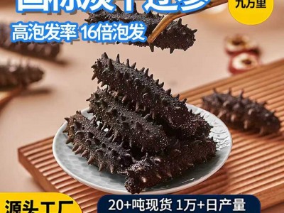 国标高泡发纯野生淡干海参工厂辽参刺参大连海参批发淡干海参干货图2