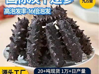 国标高泡发纯野生淡干海参工厂辽参刺参大连海参批发淡干海参干货图4