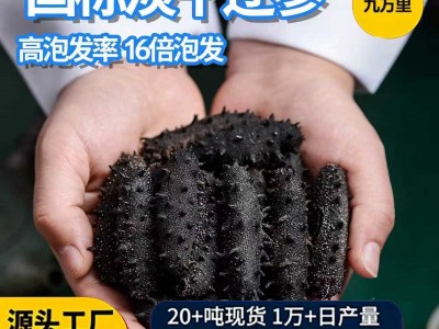 国标高泡发纯野生淡干海参工厂辽参刺参大连海参批发淡干海参干货图3