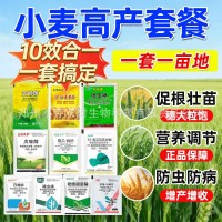 小麦增产套餐一喷三防杀虫杀菌防病增产白粉病赤霉病蚜虫红蜘蛛