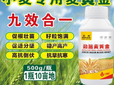 麦黄金水溶肥小麦高产专用肥叶面肥小麦增产麦黄金分蘖宝套餐正品图4