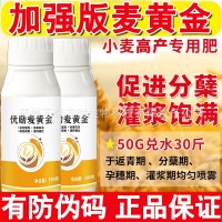 麦黄金水溶肥小麦高产专用肥叶面肥小麦增产麦黄金分蘖宝套餐正品