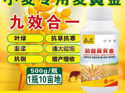 麦黄金水溶肥小麦高产专用肥叶面肥小麦增产麦黄金分蘖宝套餐正品图3