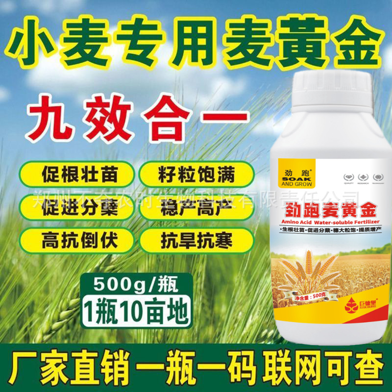 O1CN01l0ULqH2DZqmZrYzeh_!!2215868088624-0-cib