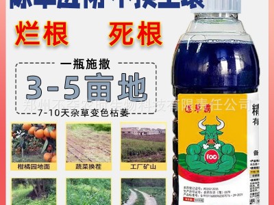 精草铵膦铵盐果园荒地荒山恶性杂草牛筋草小飞蓬农药除草剂批发图4