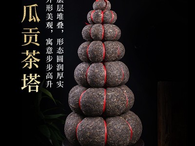 厂家批发云南普洱生茶金瓜贡茶塔18公斤盒装生态金芽黑茶普洱茶图5