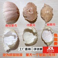 蟹宝壳面包蟹壳蟹壳元宝蟹壳蟹盖沙蟹壳扁蟹壳梭子蟹壳螃蟹壳日料