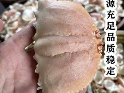 蟹宝壳面包蟹壳蟹壳元宝蟹壳蟹盖沙蟹壳扁蟹壳梭子蟹壳螃蟹壳日料图3