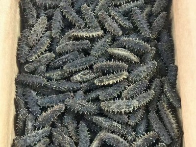 源头厂家批发淡干海参鲜食刺参辽参高刺参肉质饱满淡干海参干货图3