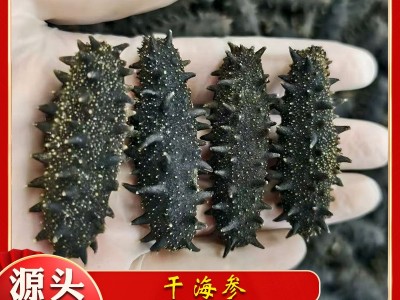 源头厂家批发淡干海参鲜食刺参辽参高刺参肉质饱满淡干海参干货图2