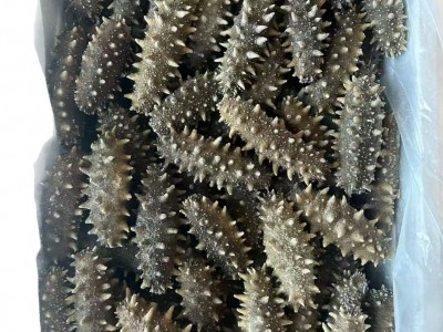 源头厂家批发淡干海参鲜食刺参辽参高刺参肉质饱满淡干海参干货图5