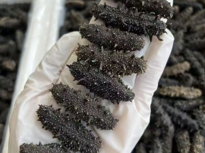 源头厂家批发淡干海参鲜食刺参辽参高刺参肉质饱满淡干海参干货图4