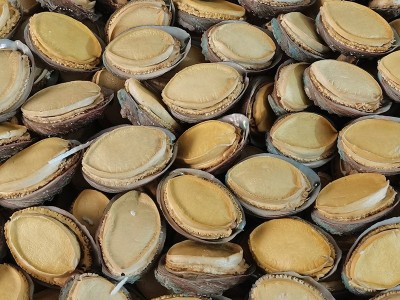 带壳鲍鱼干FD鲍鱼干冻干鲍鱼干货批发海参鲍鱼散装干货礼盒装批发图2