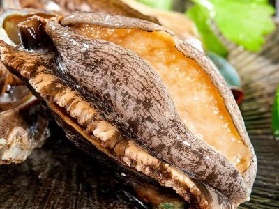 带壳鲍鱼干FD鲍鱼干冻干鲍鱼干货批发海参鲍鱼散装干货礼盒装批发图3