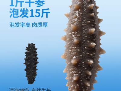 大连纯淡干海参干货辽刺参国标海参110-130只辽参高泡发礼盒海鲜图2