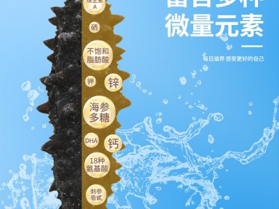 大连纯淡干海参干货辽刺参国标海参110-130只辽参高泡发礼盒海鲜图4