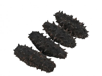 大连纯淡干海参干货辽刺参国标海参110-130只辽参高泡发礼盒海鲜图5