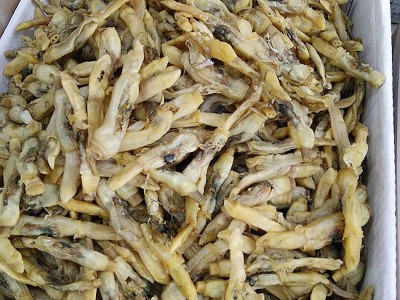 海鲜干货 500克蛏子肉竹节蛏子刀蛏贝类海蛏蛏子干 批发图4