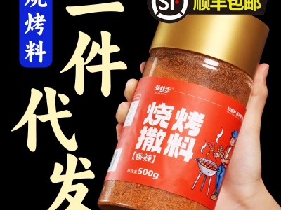 烧烤调料撒料粉正宗淄博韩式烤肉蘸料瓶装组合全套装工厂一件代发图4