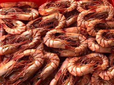 九节虾斑节虾干干即食特大号大号烤虾干特大号烤对虾零食海鲜干货图3