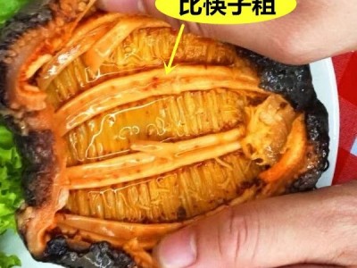 红极参干货淡干参皮冰岛加拿大红参高泡发北极参非即食海参进口图5