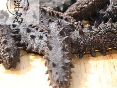 大连辽参淡干刺参泡发率高50克装海参干货批发支持一件代发图2