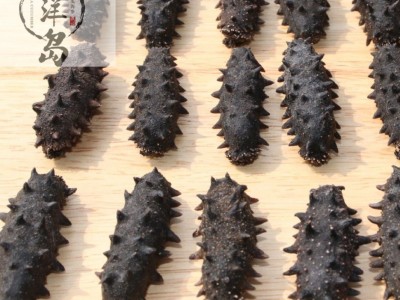 大连辽参淡干刺参泡发率高50克装海参干货批发支持一件代发图4
