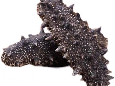 大连辽参50g深海底播刺参一件代发顺丰包邮淡干海参大连海参免泡图4