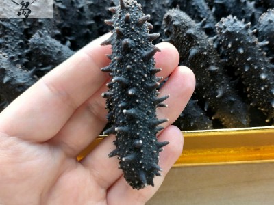 大连辽参50g深海底播刺参一件代发顺丰包邮淡干海参大连海参免泡图2