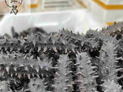 大连辽参50g深海底播刺参一件代发顺丰包邮淡干海参大连海参免泡图5