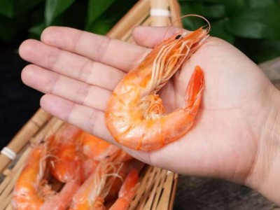 虾子即食烤虾干大号对虾干碳烤大虾干货海鲜零食礼盒图4