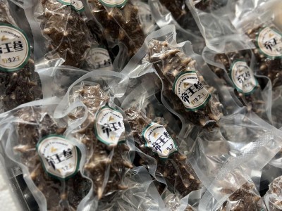 源头工厂现货批发口感Q弹鲜食海参鲜食刺参厂家代发即食海参500g图2