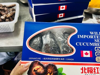 厂家批发纯野生红极参加拿大北极红参无任何添加即食海参刺参礼盒图2