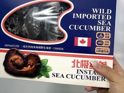 厂家批发纯野生红极参加拿大北极红参无任何添加即食海参刺参礼盒图3