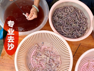 北海野生大号沙虫干特级无沙干沙虫足干无硫纯天然海产品滋补干货图3