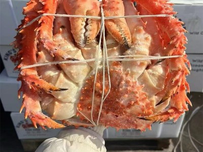 熟冻帝王蟹智利帝王岛整只新鲜熟冻大螃蟹蟹类海鲜过节送礼批发图3