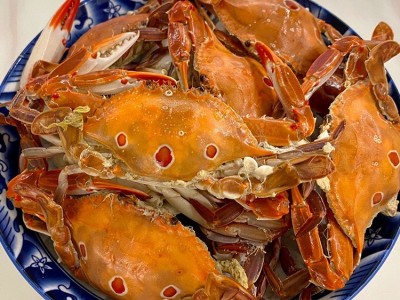 带膏三目母蟹批发 鲜活速冻三点蟹冷冻梭子蟹膏蟹蟹肉煲新鲜海鲜图4